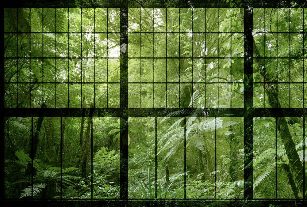 Rainforest 2 Mural