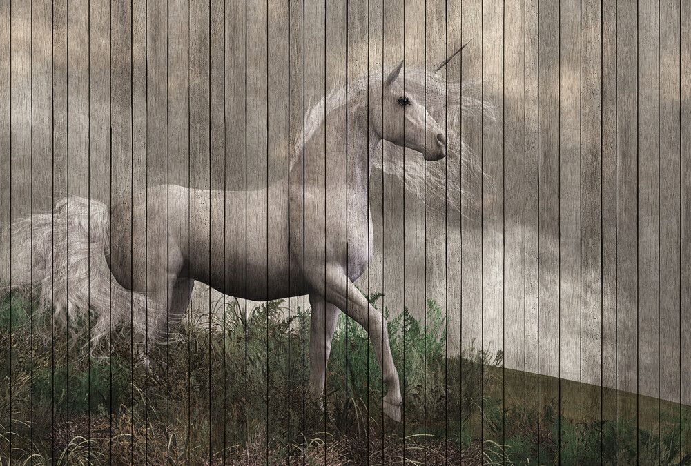 Fantasy 3 Mural