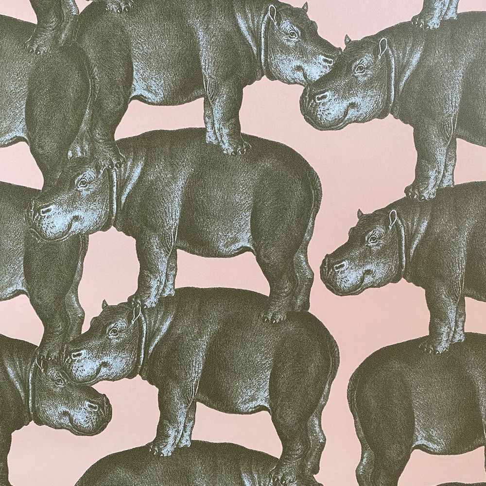 Hippo