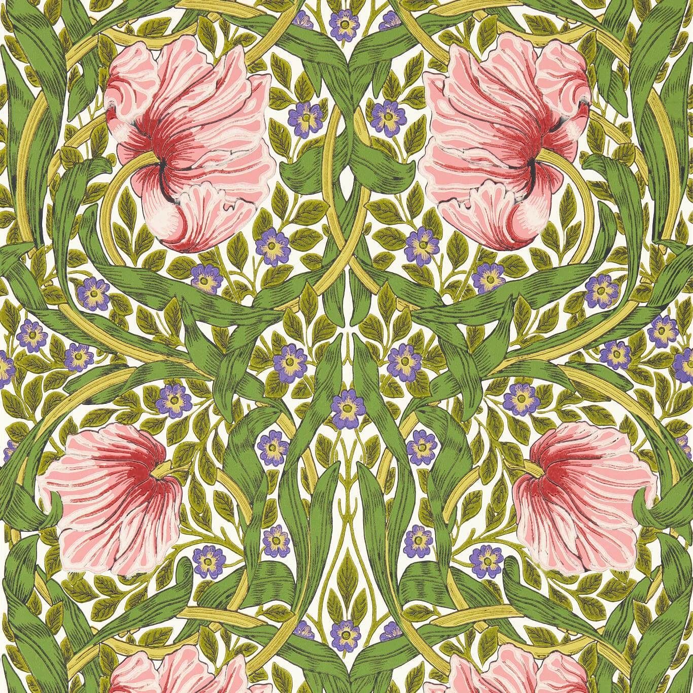 Pink - Bedford Pimpernel