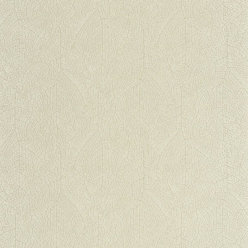 Mint - Nola