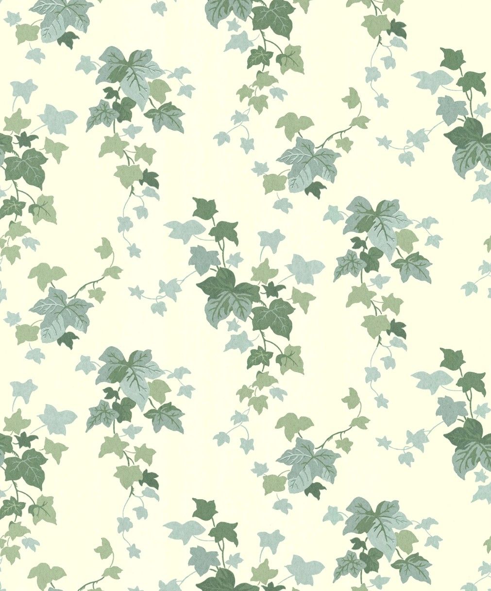 Ivy