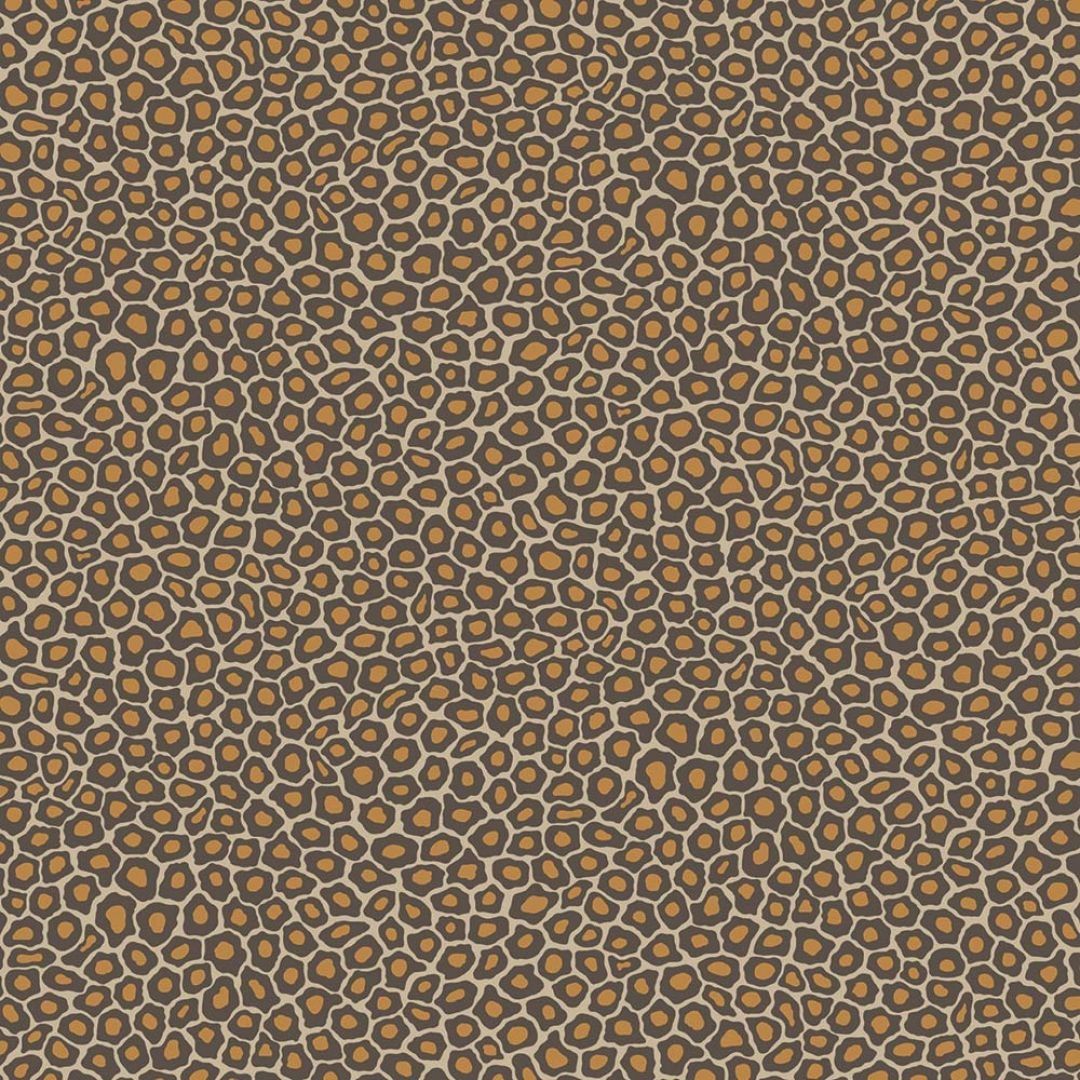 Bronze - Senzo Spot