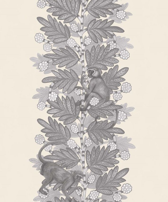 Grey - Acacia