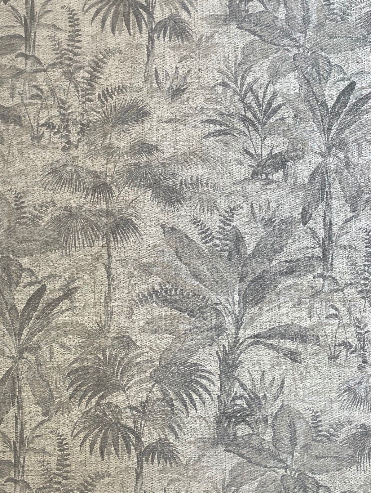 Grey - Forest Palm