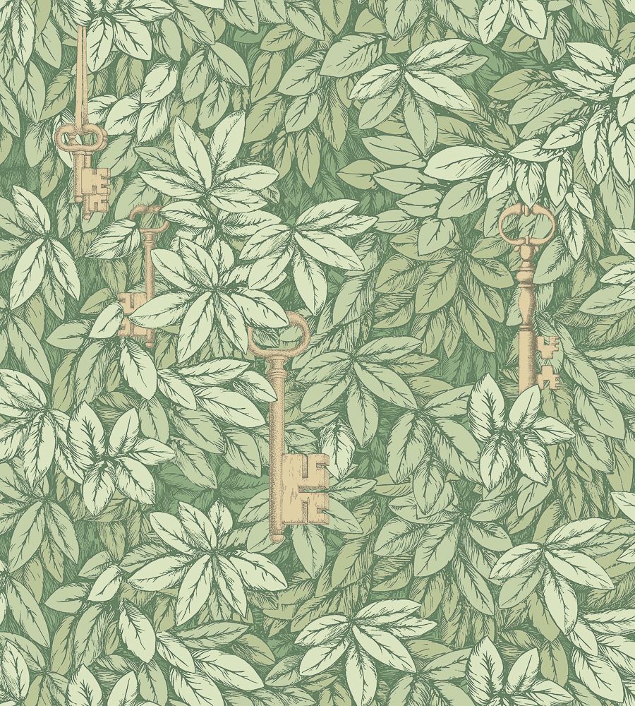 Olive - Chiavi Segrete