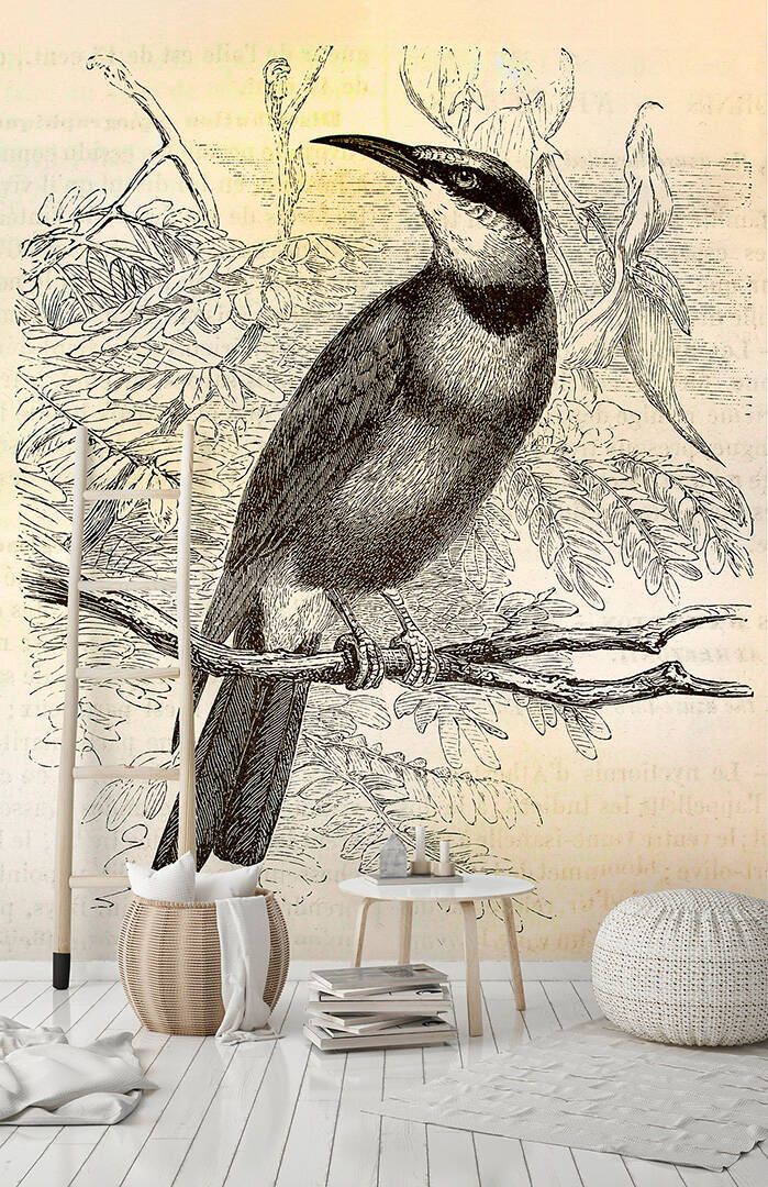 Vintage Birds 2 Mural