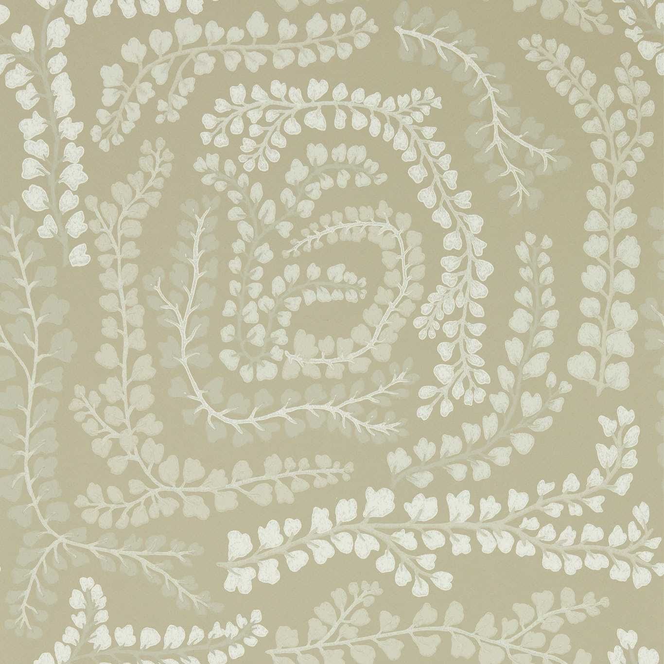 Beige - Fayola