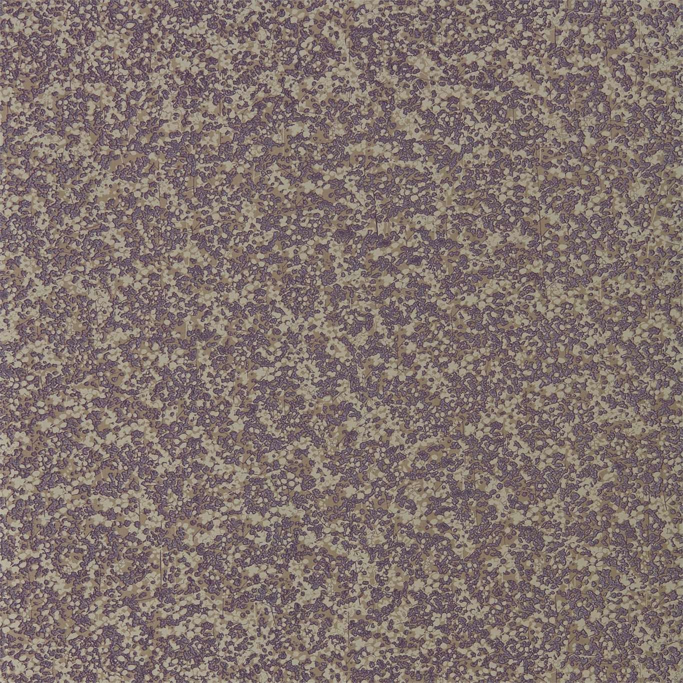 Purple - Coral Anthology