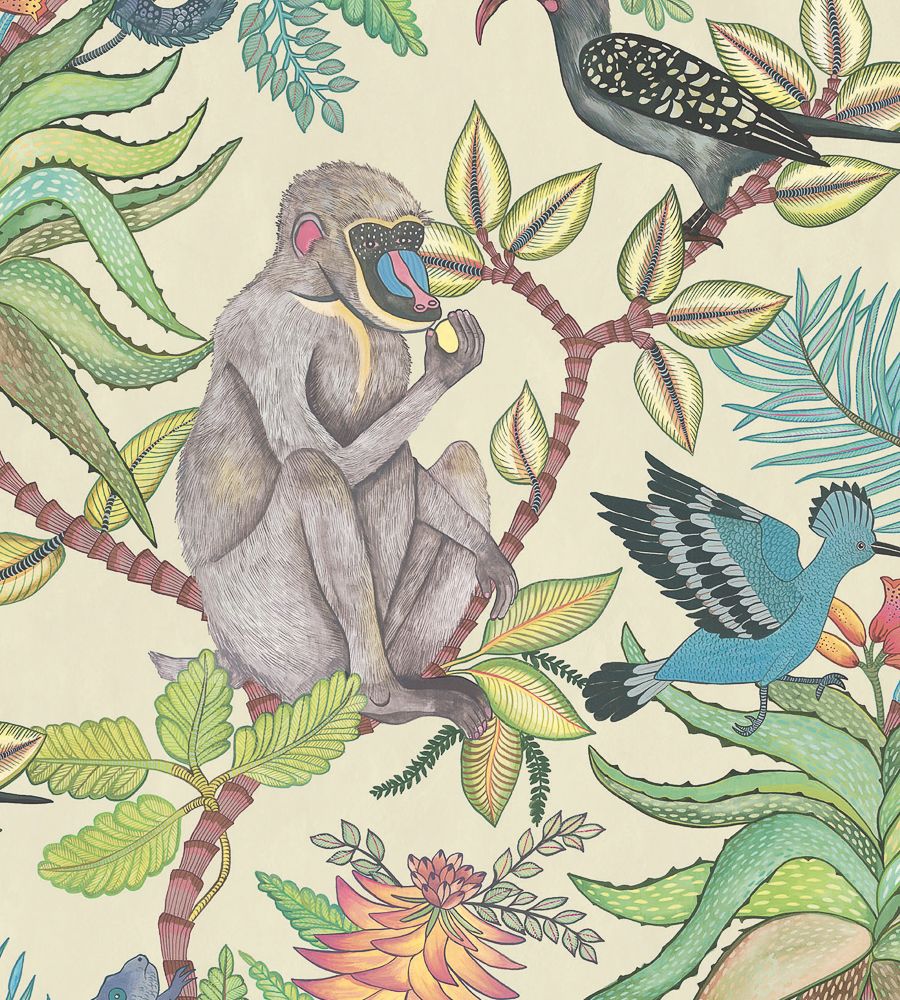 Multicolour - Savuti