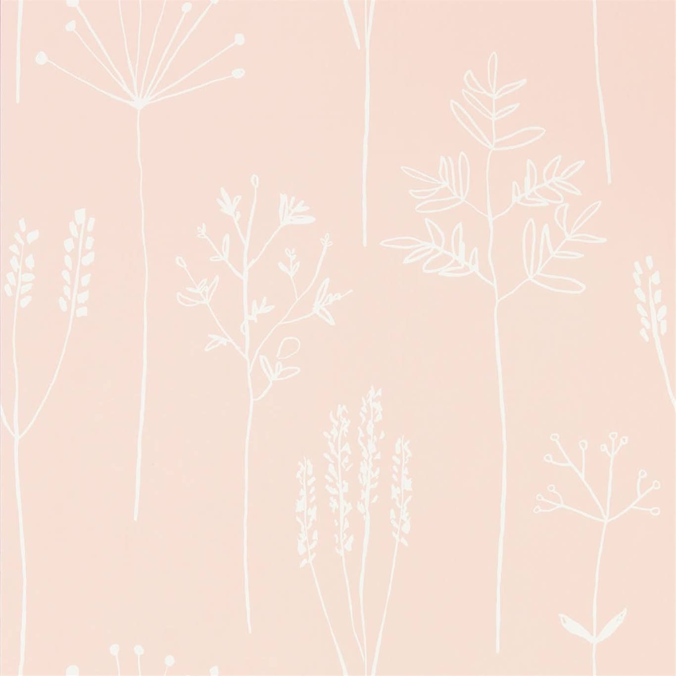 Pink - Stipa
