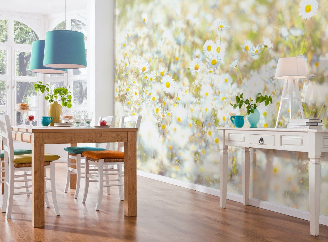 Daisies Mural