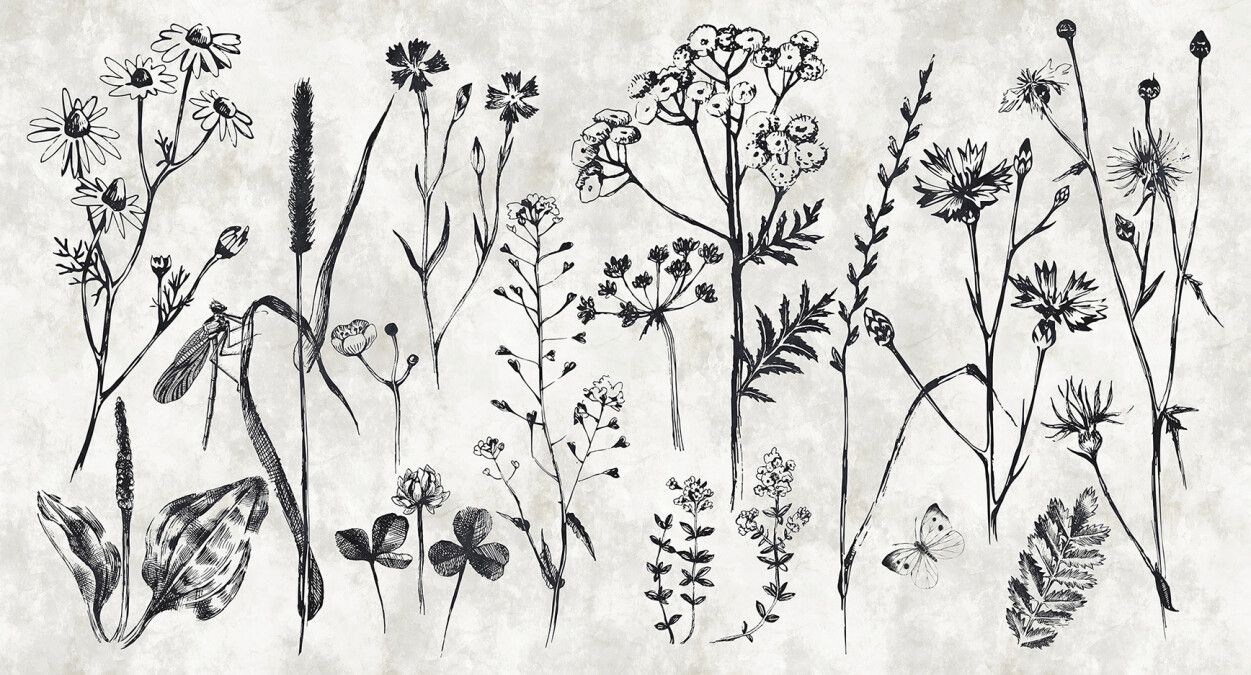Sketchpad Mural