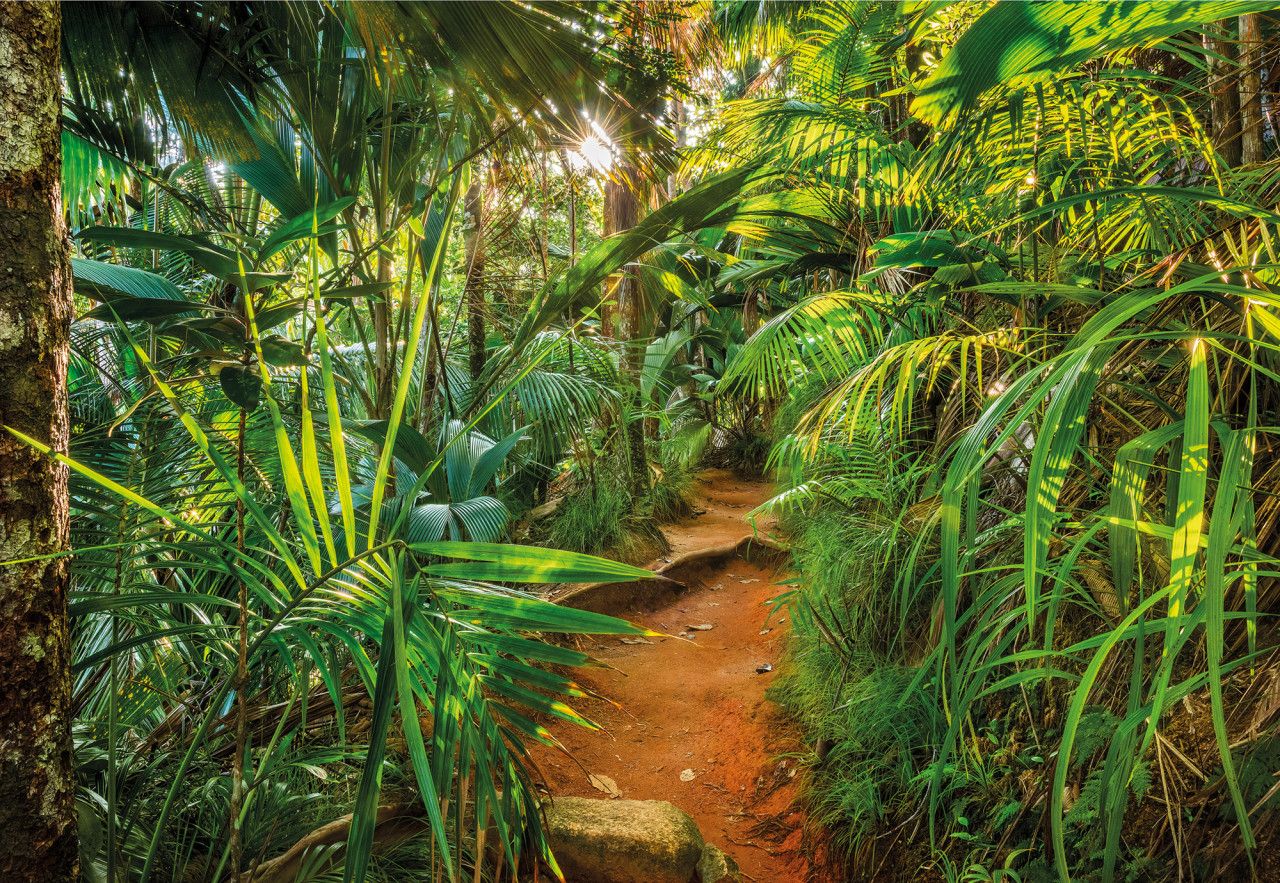 Jungle Trail Mural