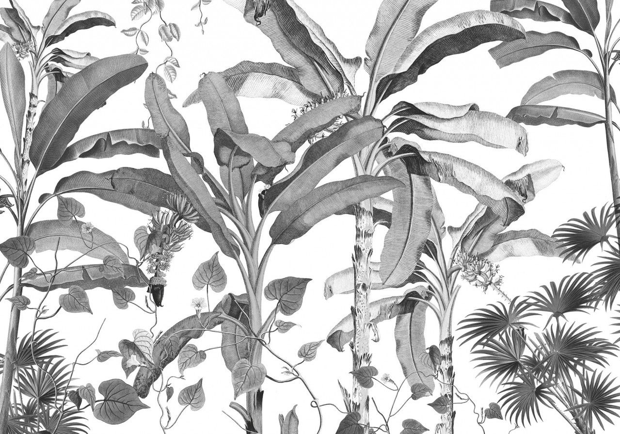 Croissances Monochrome Mural