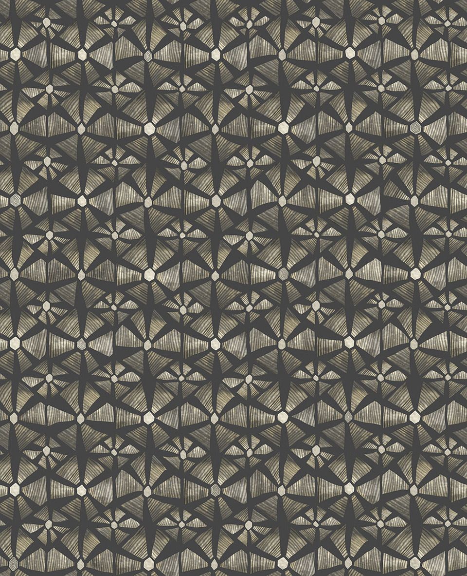 Charcoal - Kalahari