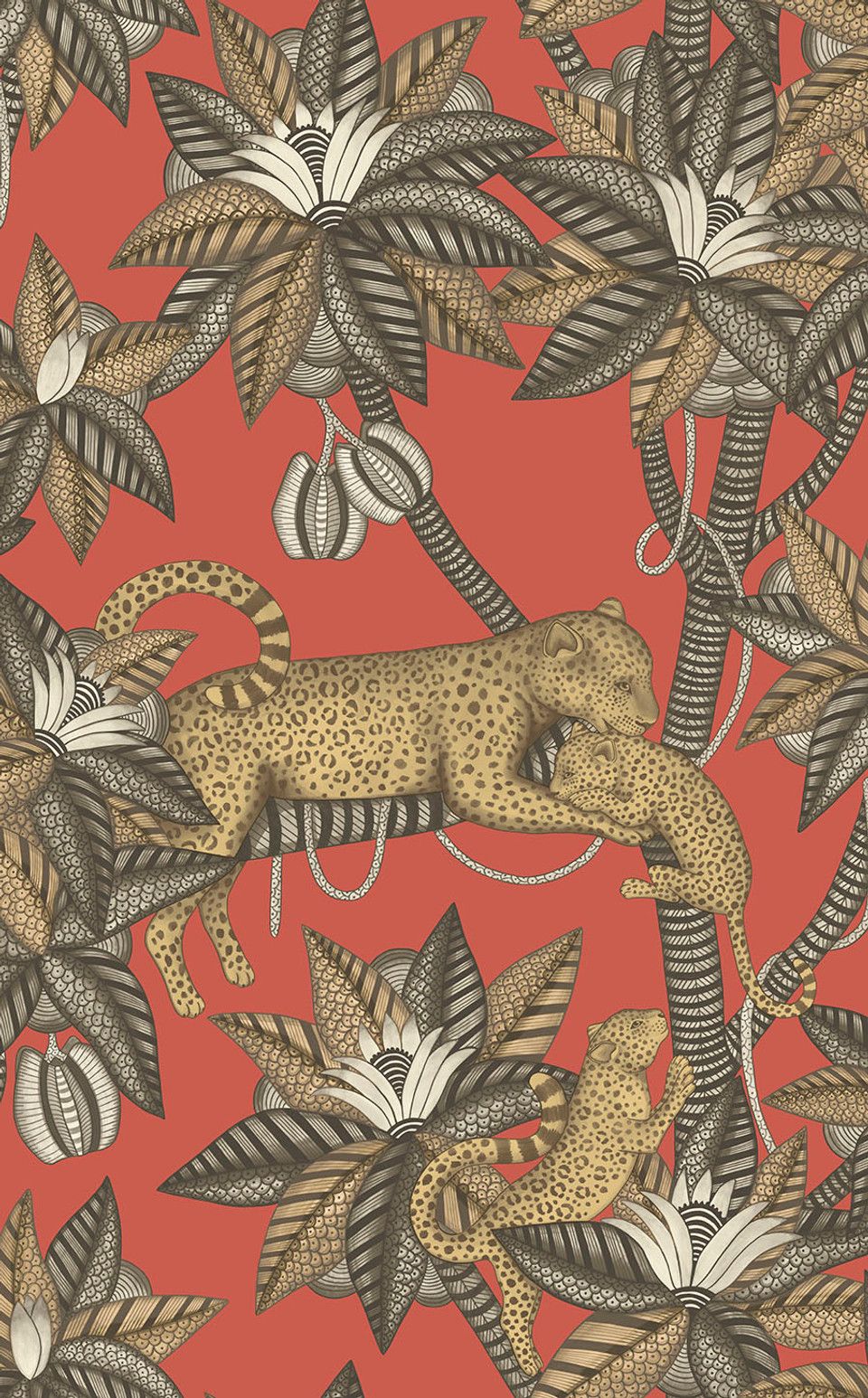 Red - Satara