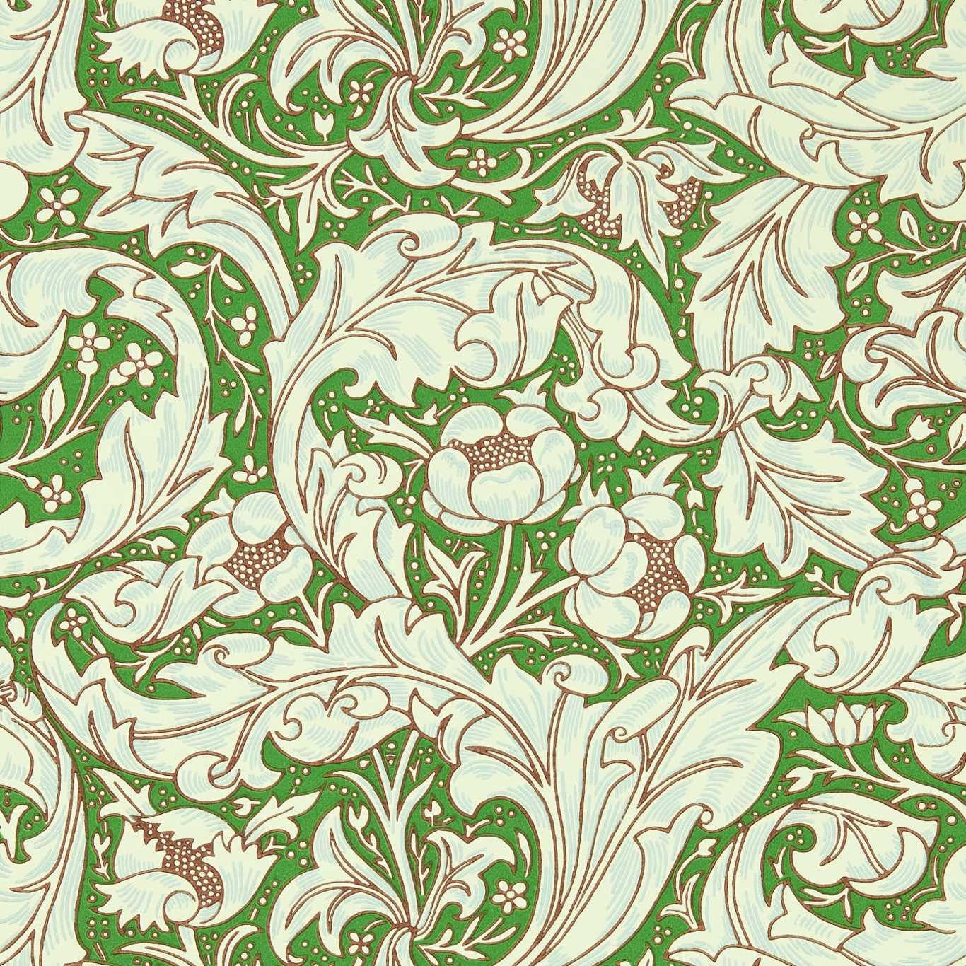 Green - Bachelors Button