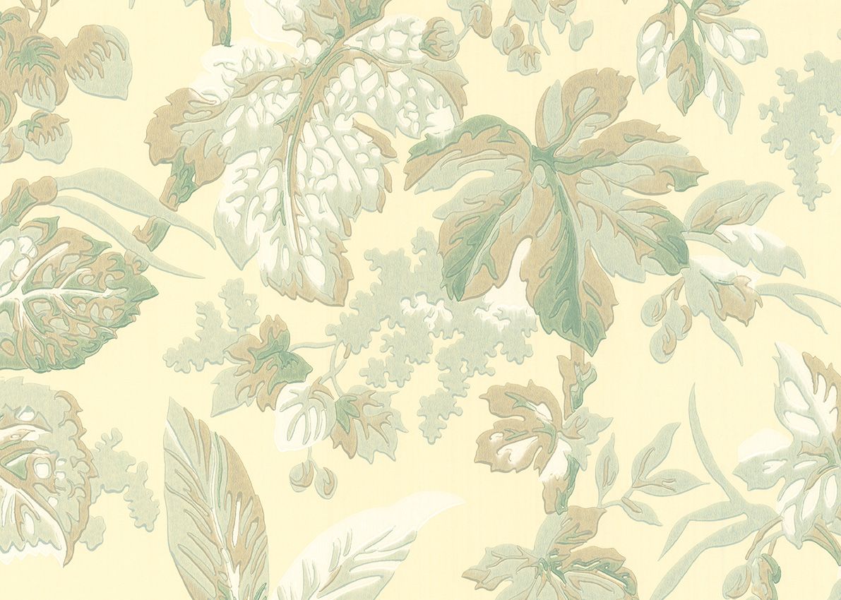 Olive - Grande Tropical