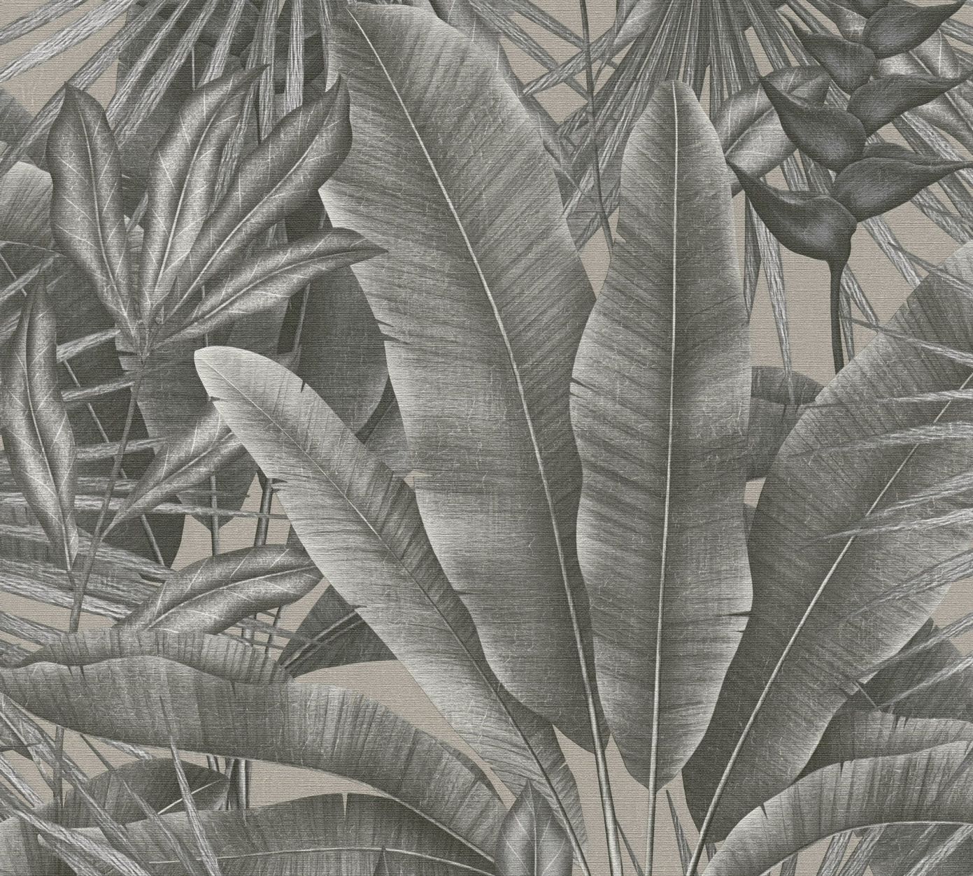 Grey - Palm Life