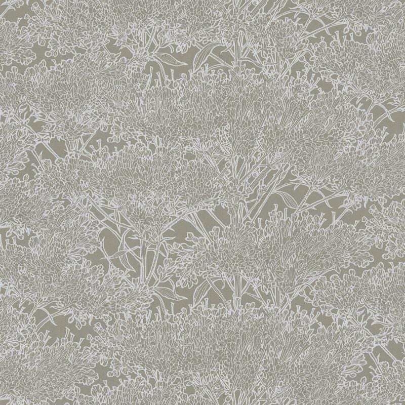 Taupe - Field of Dreams