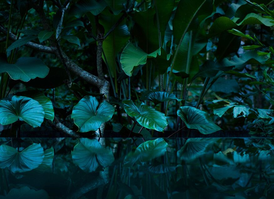 Tropical Mural