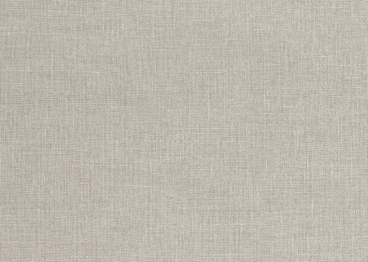 Taupe - Canvas