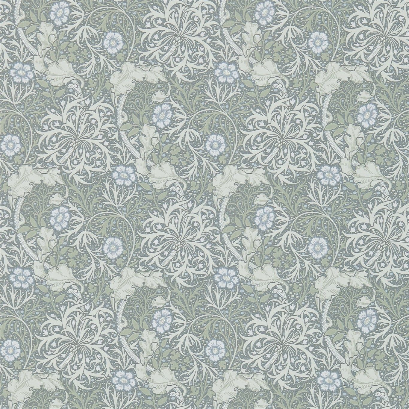 Grey - Morris Seaweed