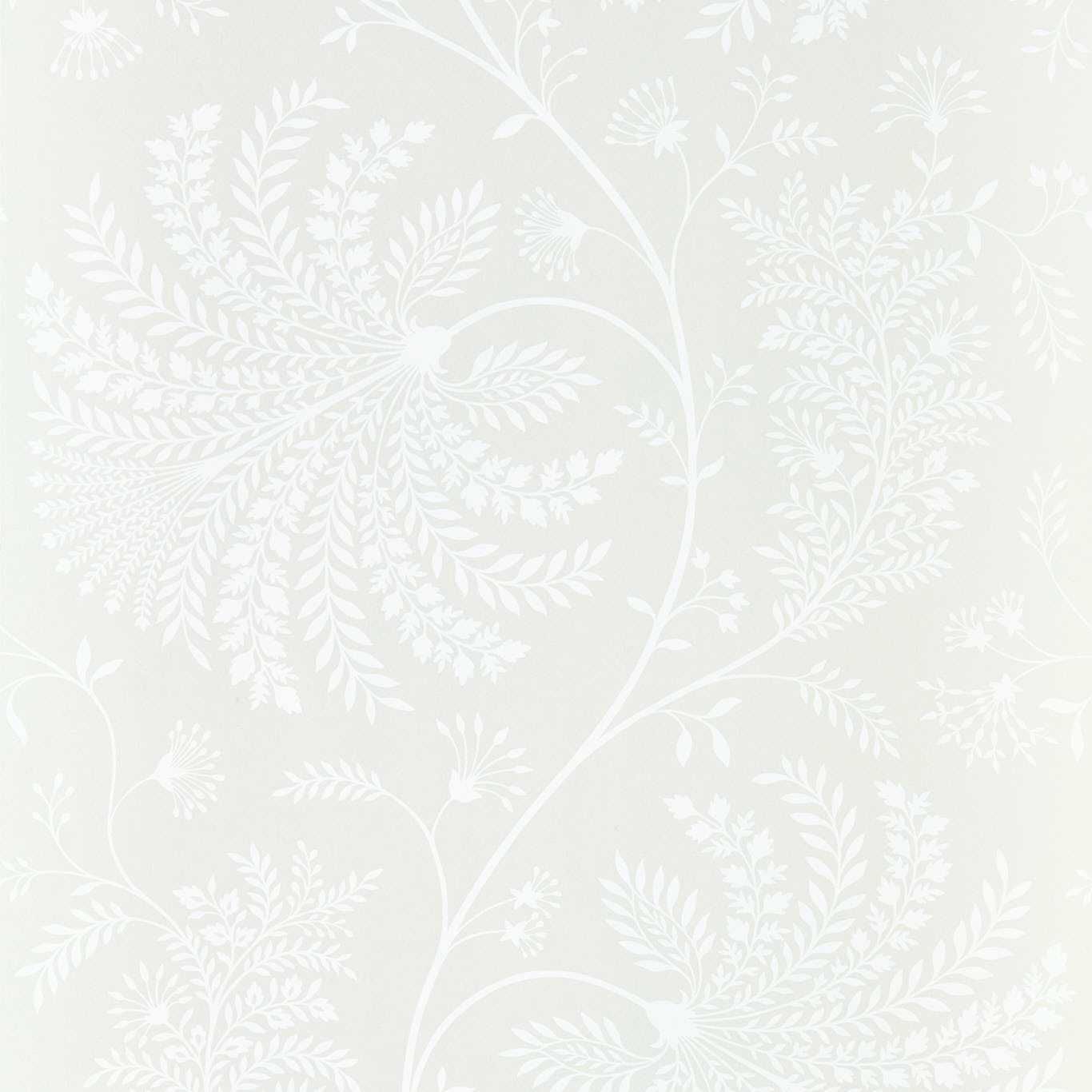 Parchment - Mapperton