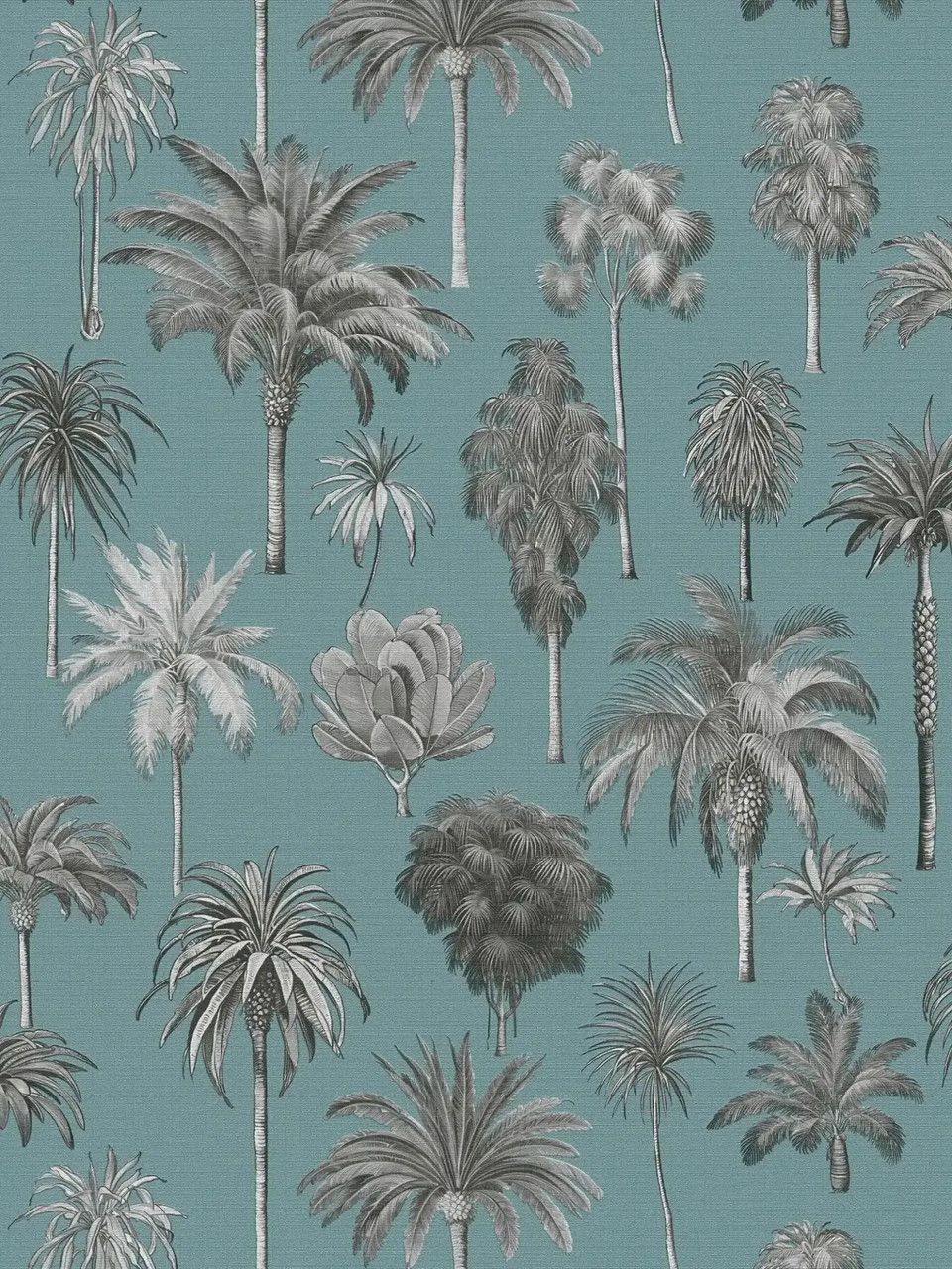 Blue - Palm Cove