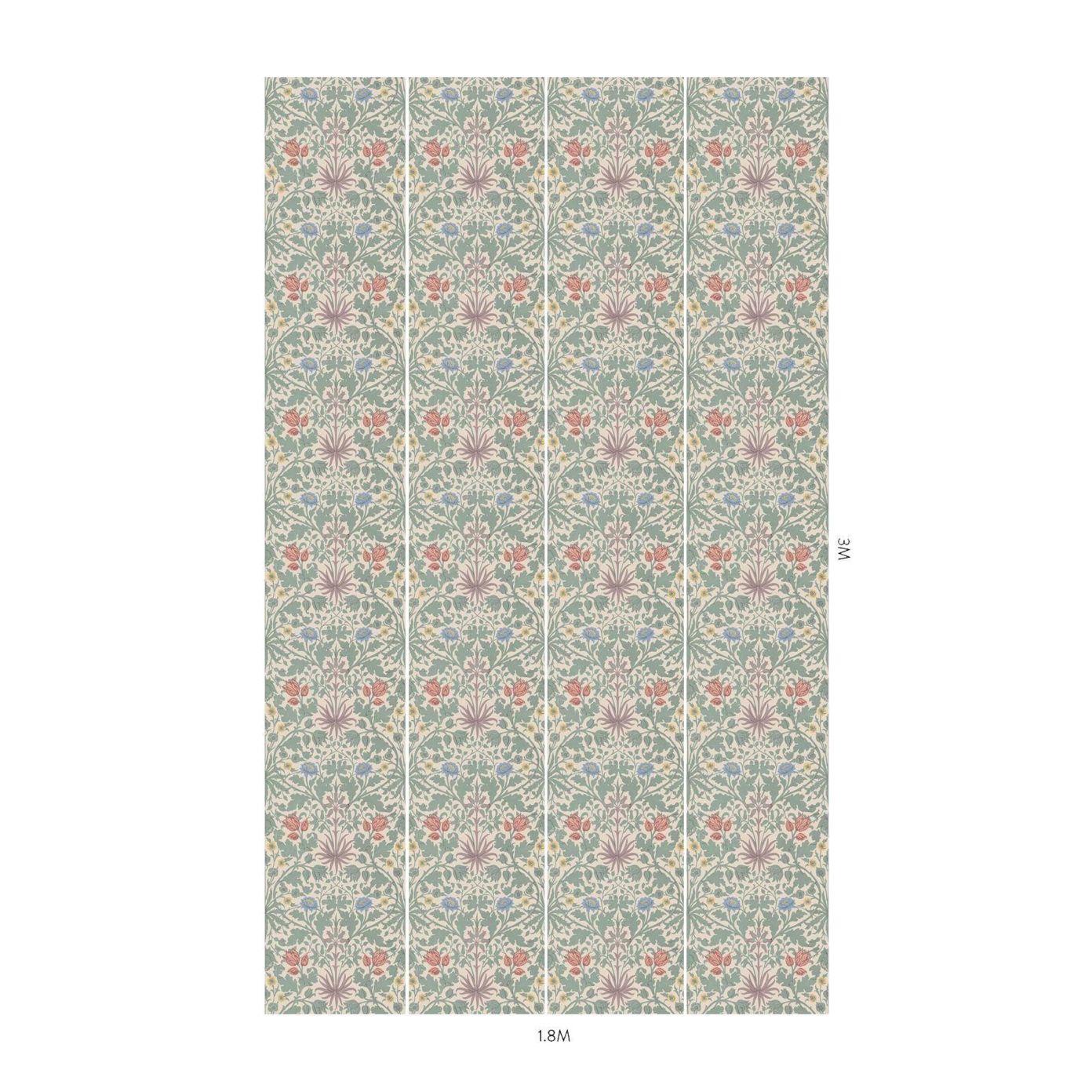Sage - HOH Hyacinth Novellus