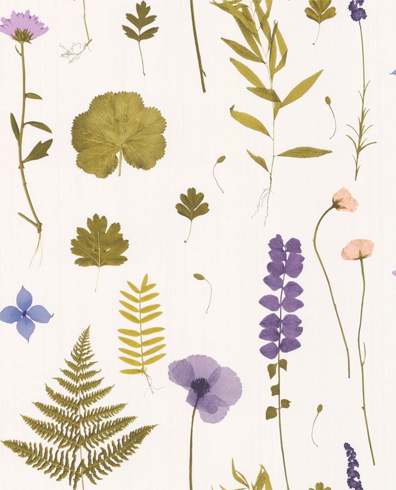 Purple - Herbarium C&C