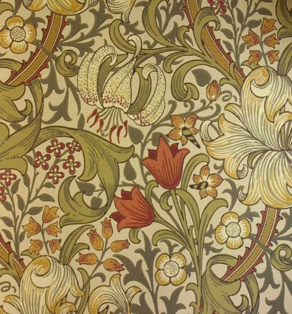 Khaki - Golden Lily