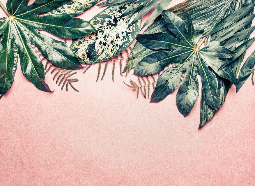 Tropical Leaves Mural - Pink
