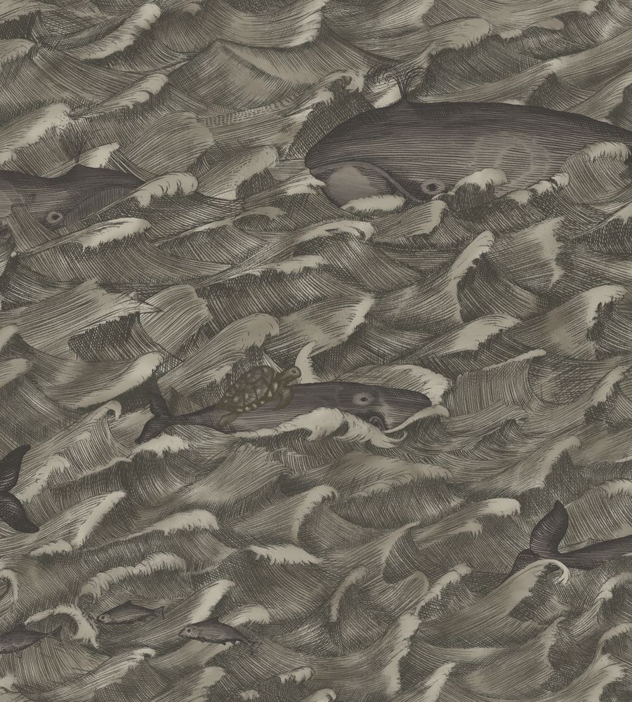 Charcoal - Melville