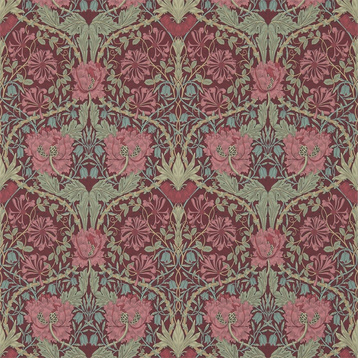 Burgundy - Honeysuckle & Tulip