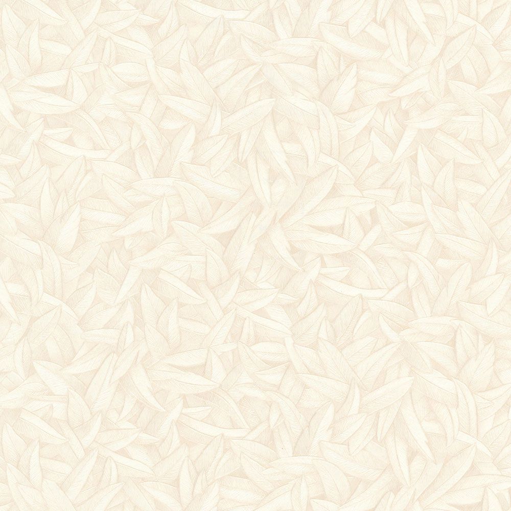 Champagne - Gloockler Feather - IN STOCK