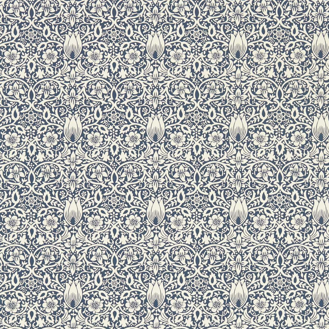 Navy - Borage