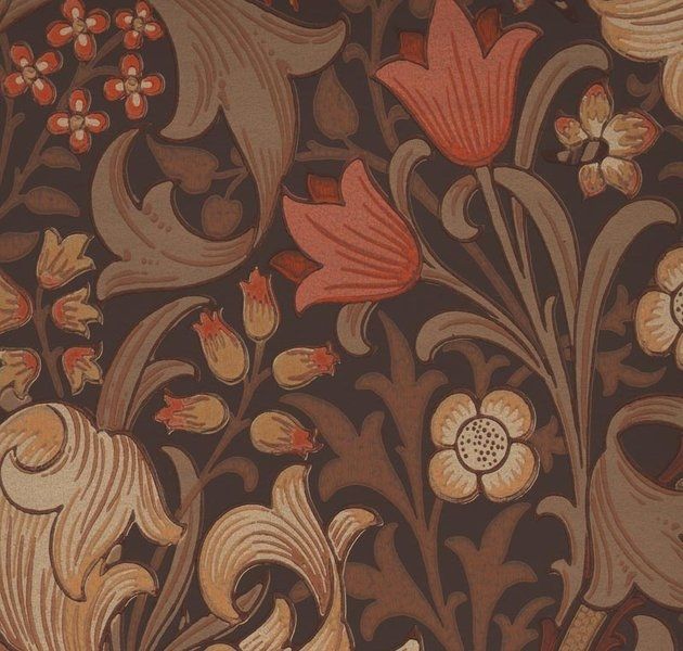 Brown - Golden Lily