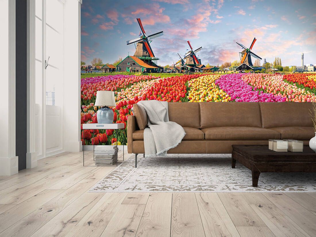Zaanse Schans Mural