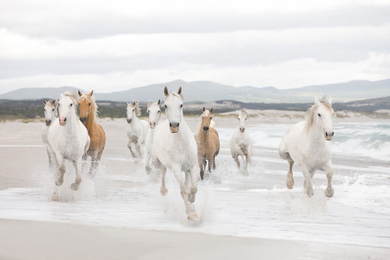 White Horses Mural