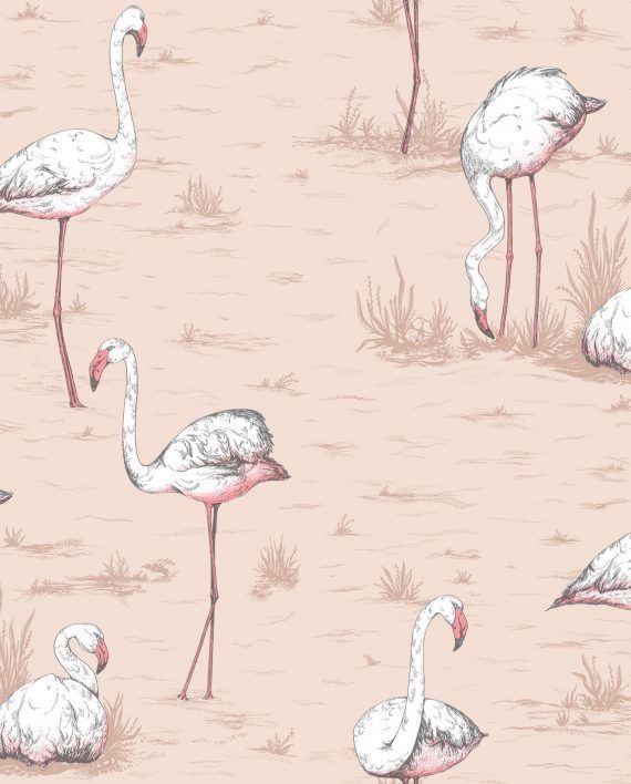 Pink - Flamingos