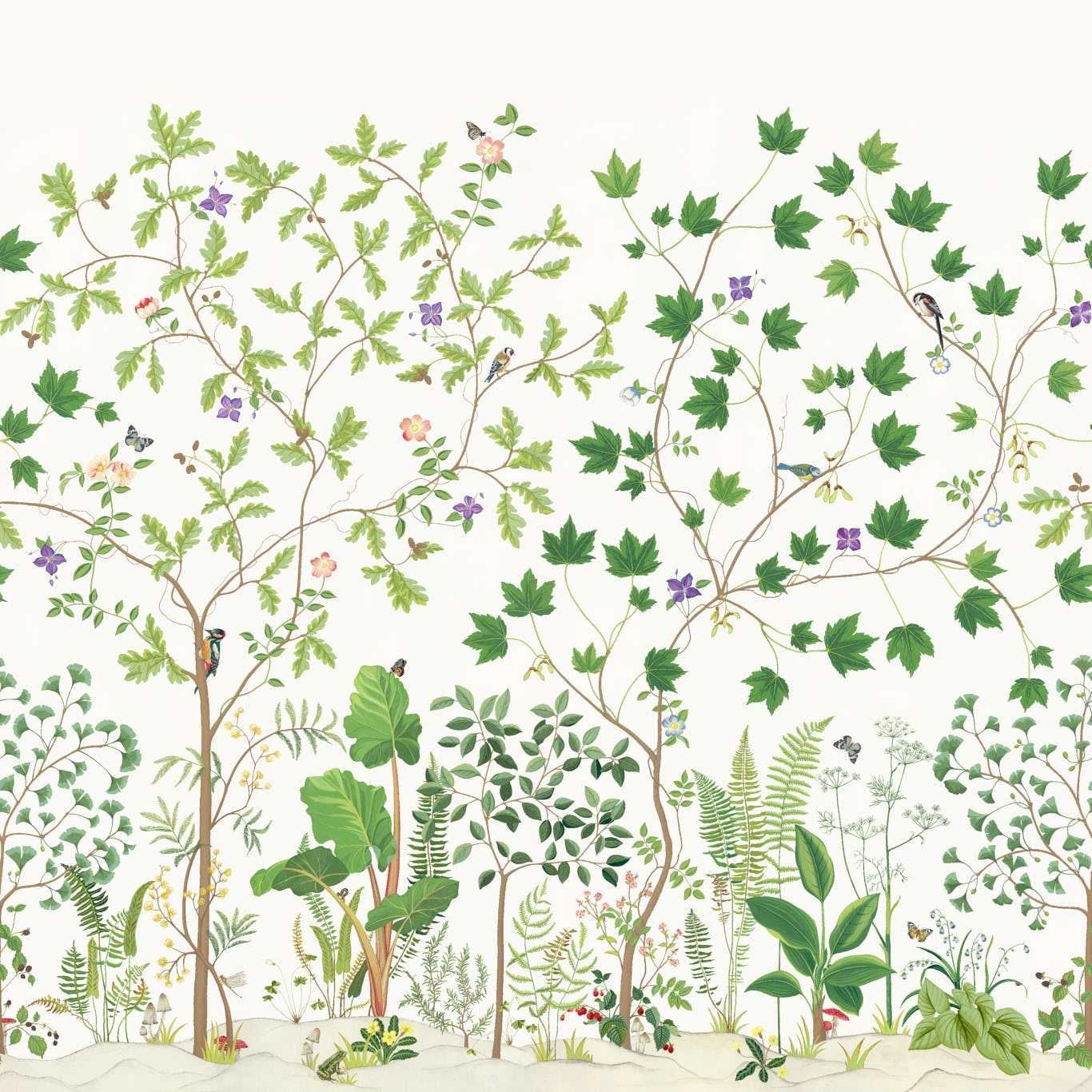 Sycamore and Oak - Multicolour