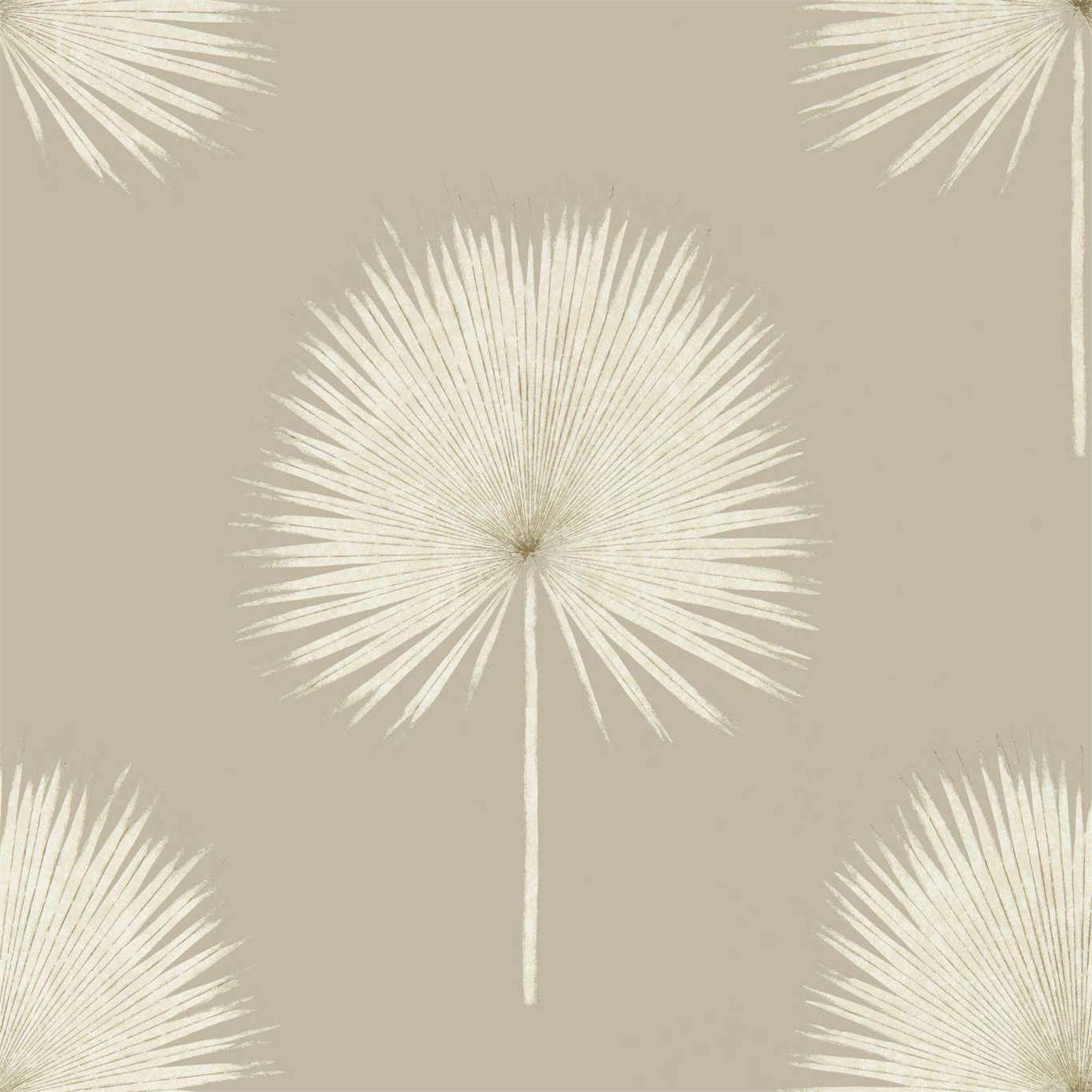 Champagne - Fan Palm