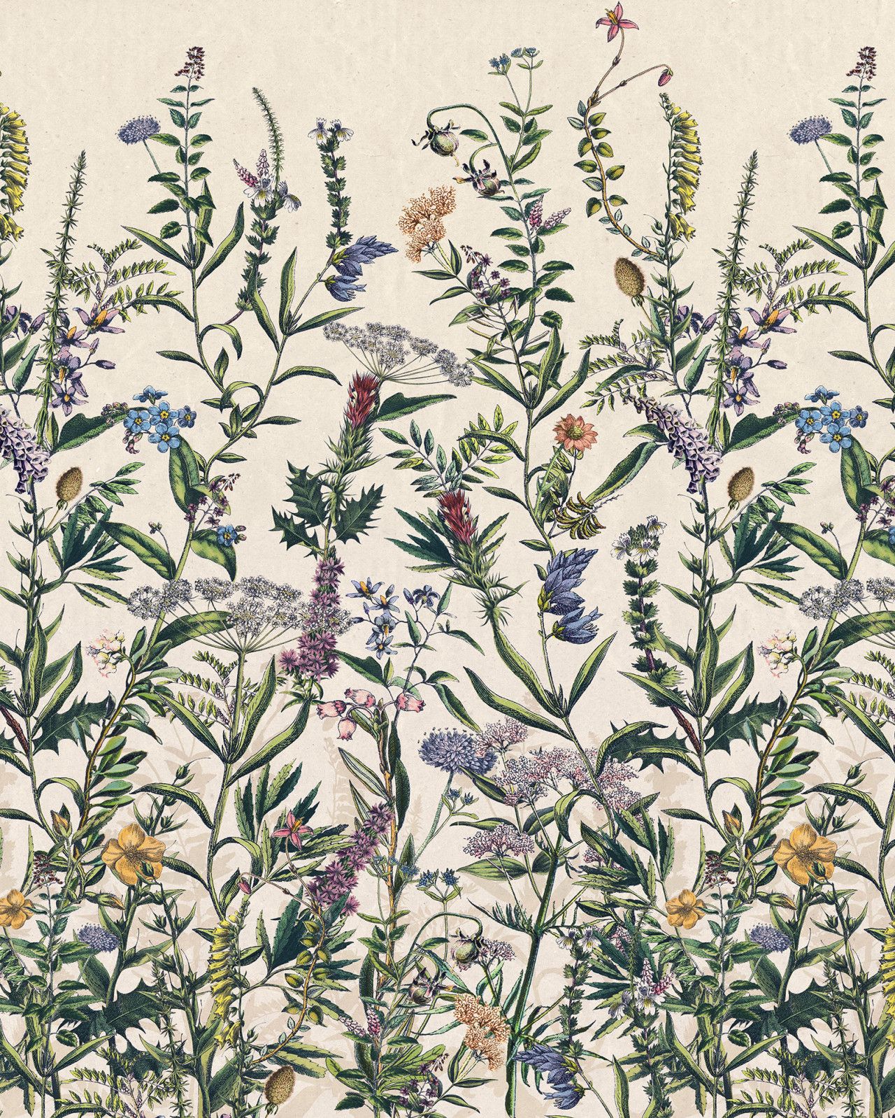 Flowering Herbs Mural