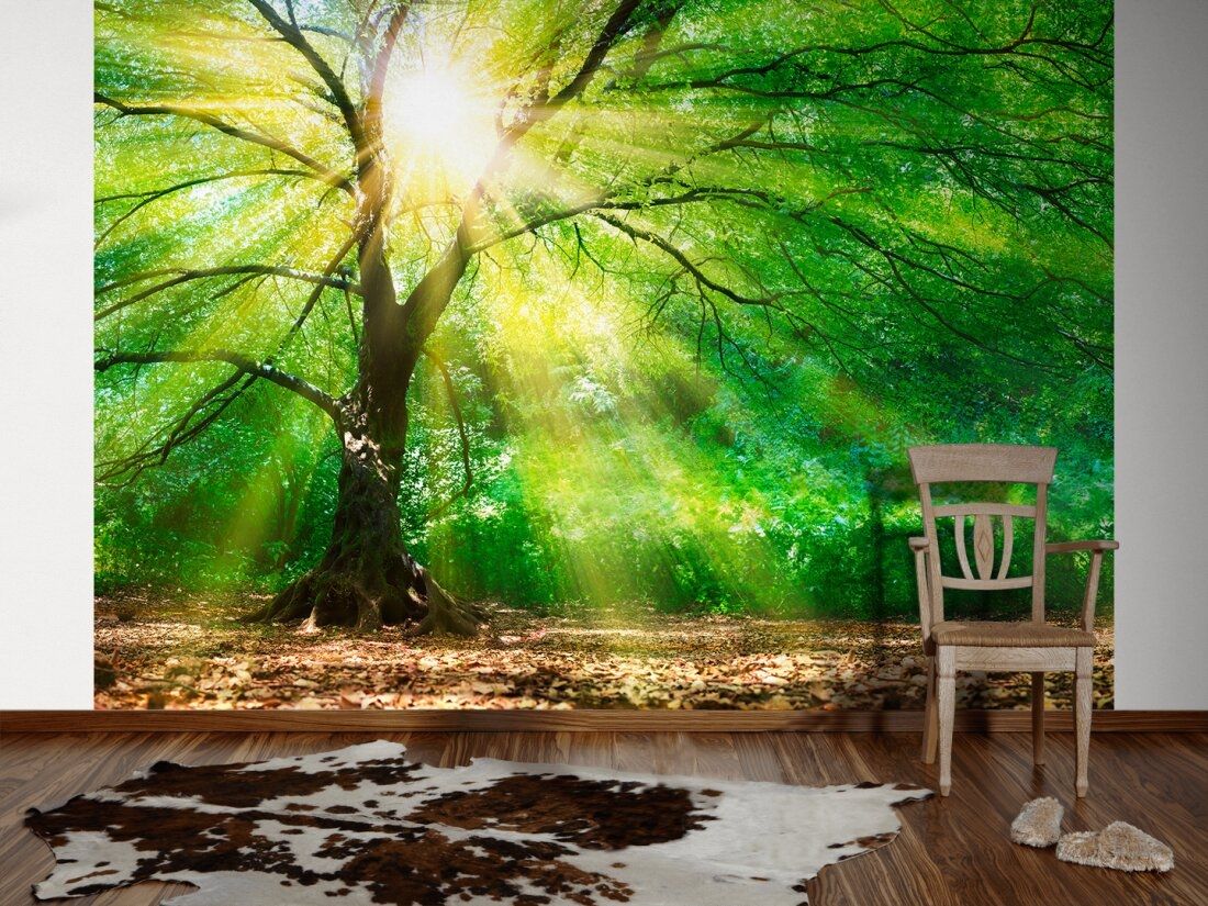 Forest Light Mural