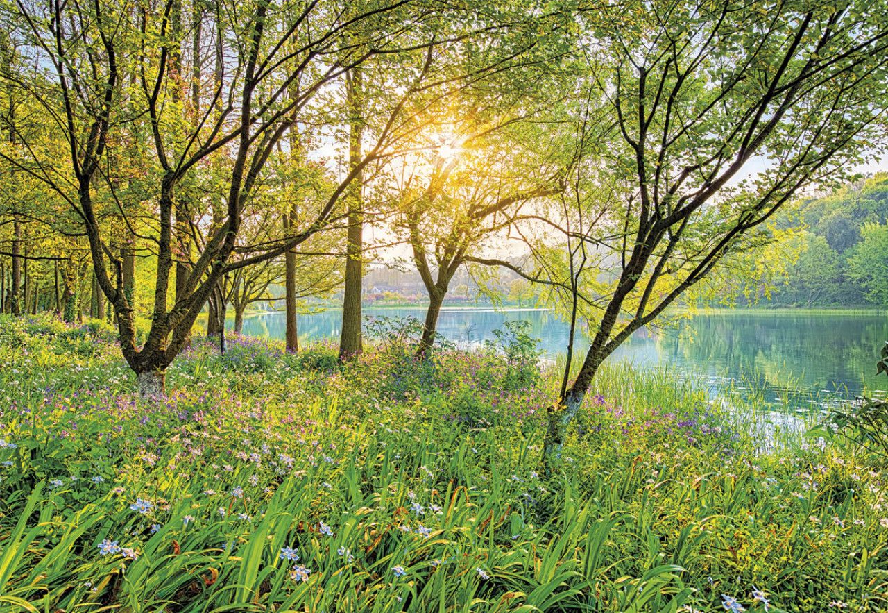 Spring Lake Mural