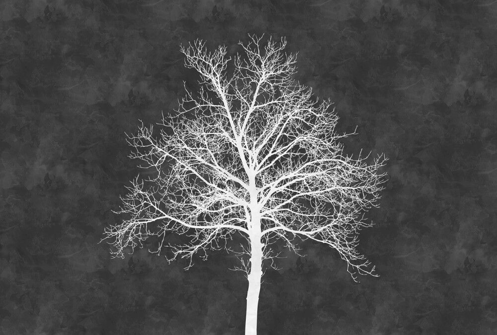 Blackboard Tree Mural