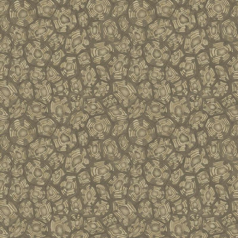 Bronze - Savanna Shell