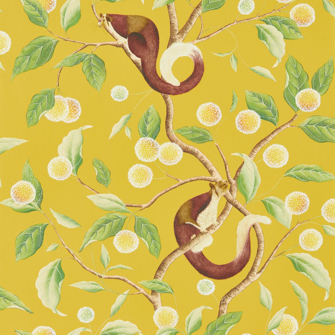 Yellow - Nellie